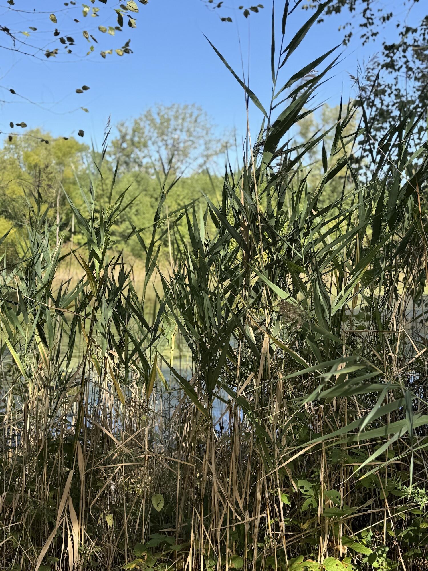 3152 North 50 West Valparaiso, IN 46385 - Photo 3 of 12 a view of a bunch of flowers