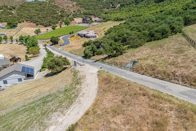 a view of a yard with potted plants