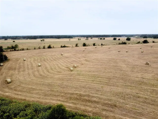 a view of an ocean beach