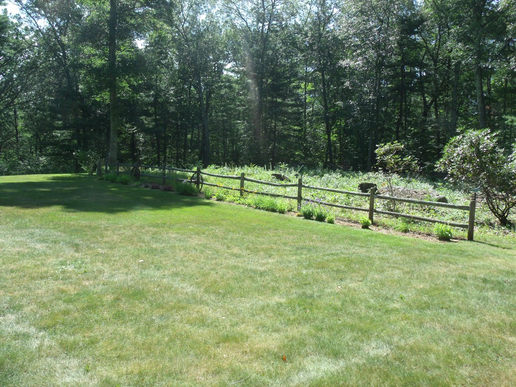 25 Lynch Road Wales, MA 01081 - Photo 5 of 28 a view of park with trees