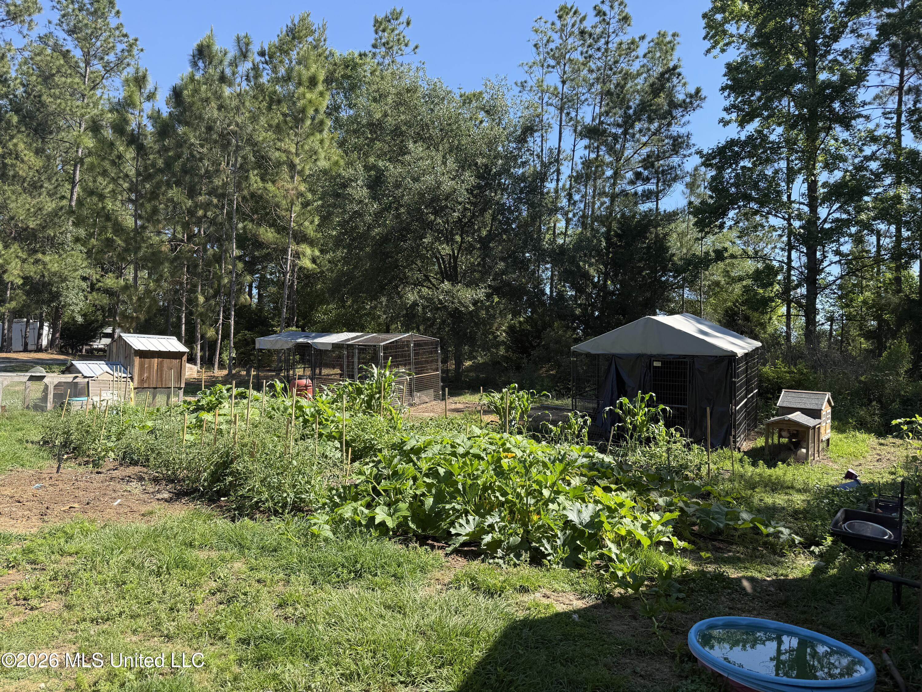 12876 Indian Springs Road Picayune, MS 39466 - Photo 29 of 30 IMG_4165