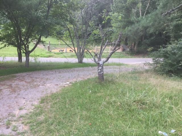 265 Leiderman Road Trenton, GA 30752 - Photo 9 of 12 IMG_2465