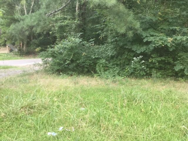 265 Leiderman Road Trenton, GA 30752 - Photo 10 of 12 IMG_2466