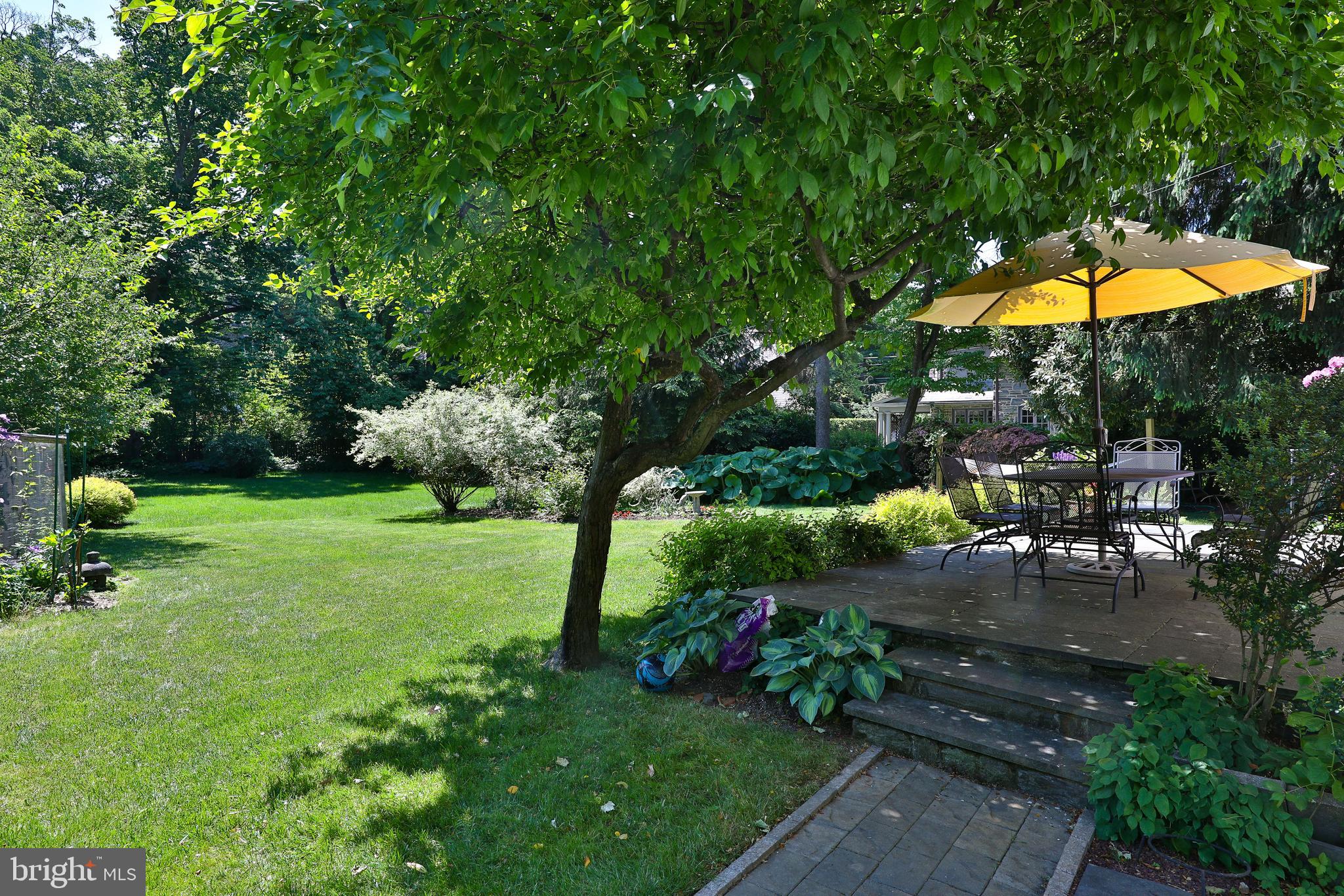 320 Roumfort Road Philadelphia, PA 19119 - Photo 34 of 44 Gorgeous rear grounds