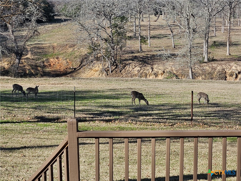 913 Cr 237 Road Cameron, TX 76520 - Photo 21 of 35