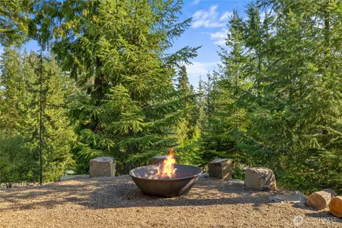 a view of a back yard of the house