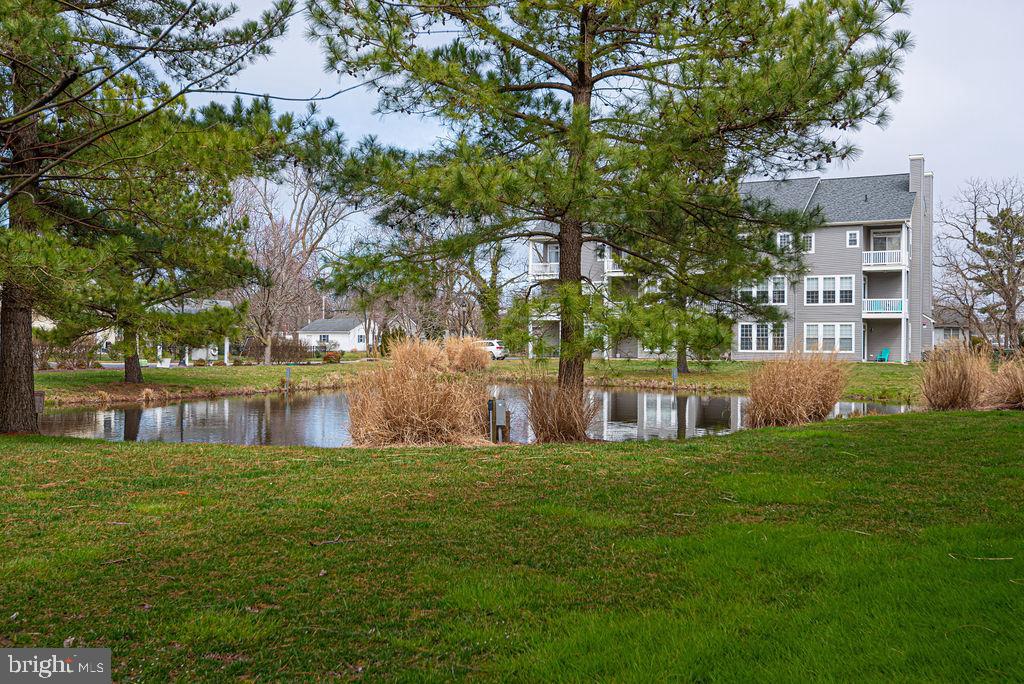 400 William Street, Unit 6 Berlin, MD 21811 - Photo 53 of 60 Community Pond