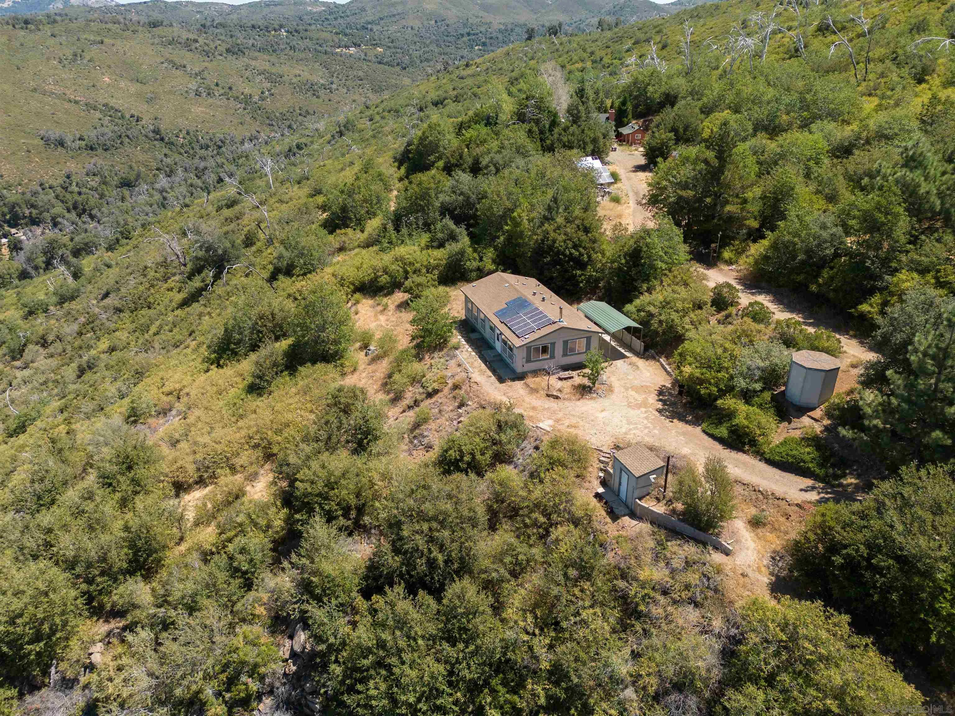 a view of a forest with a houses