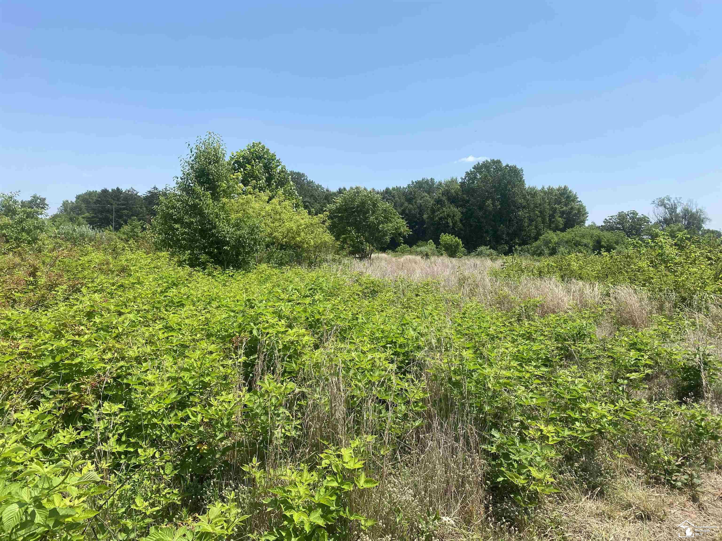 2 Morocco Road Temperance, MI 48182 - Photo 2 of 10