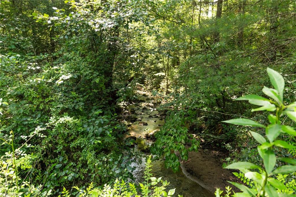 0 Boone Trail Purlear, NC 28665 - Photo 14 of 40 Gallery Image 14