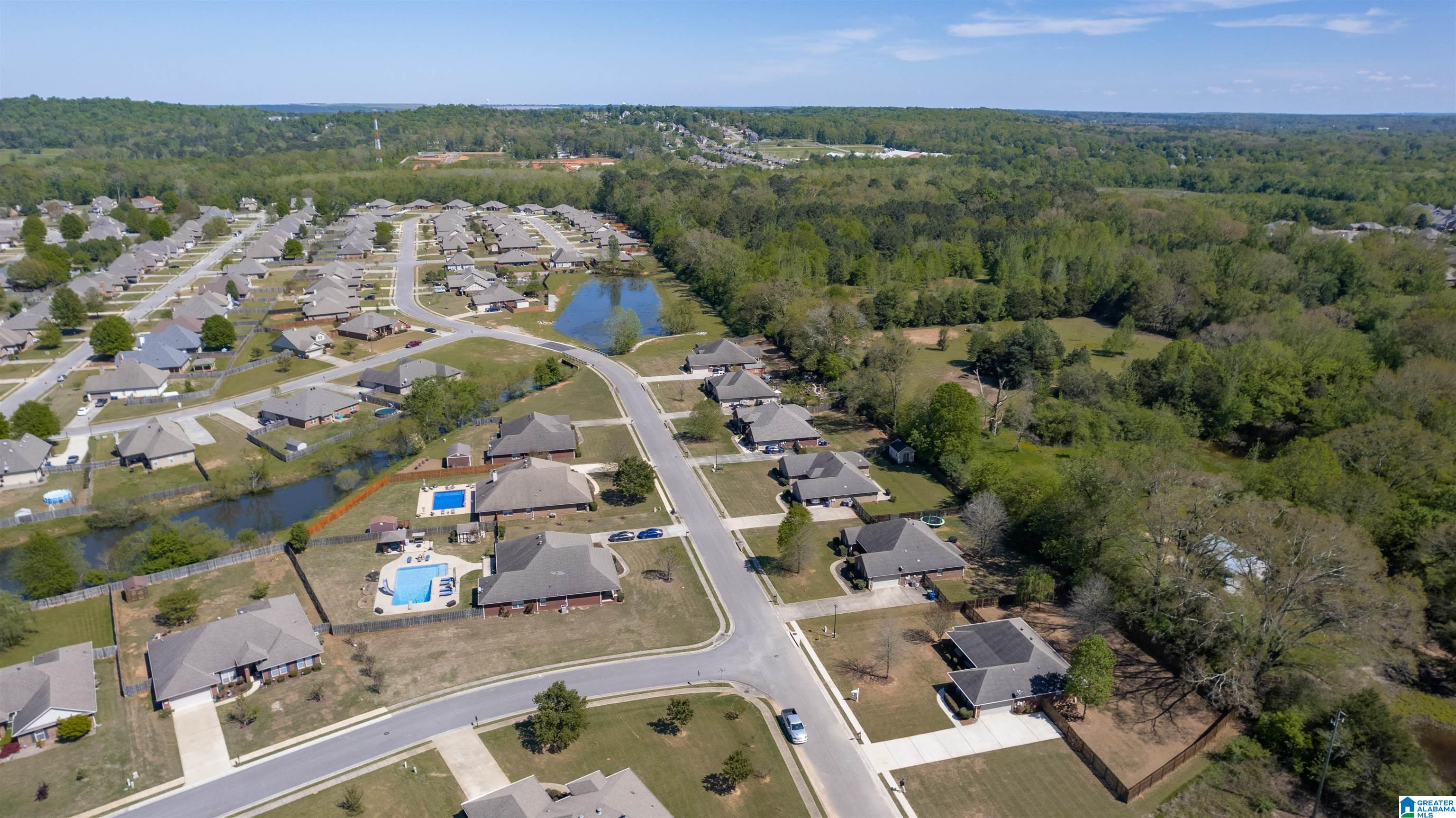 1177 Silver Creek Lane Alabaster, AL 35007 - Photo 46 of 50