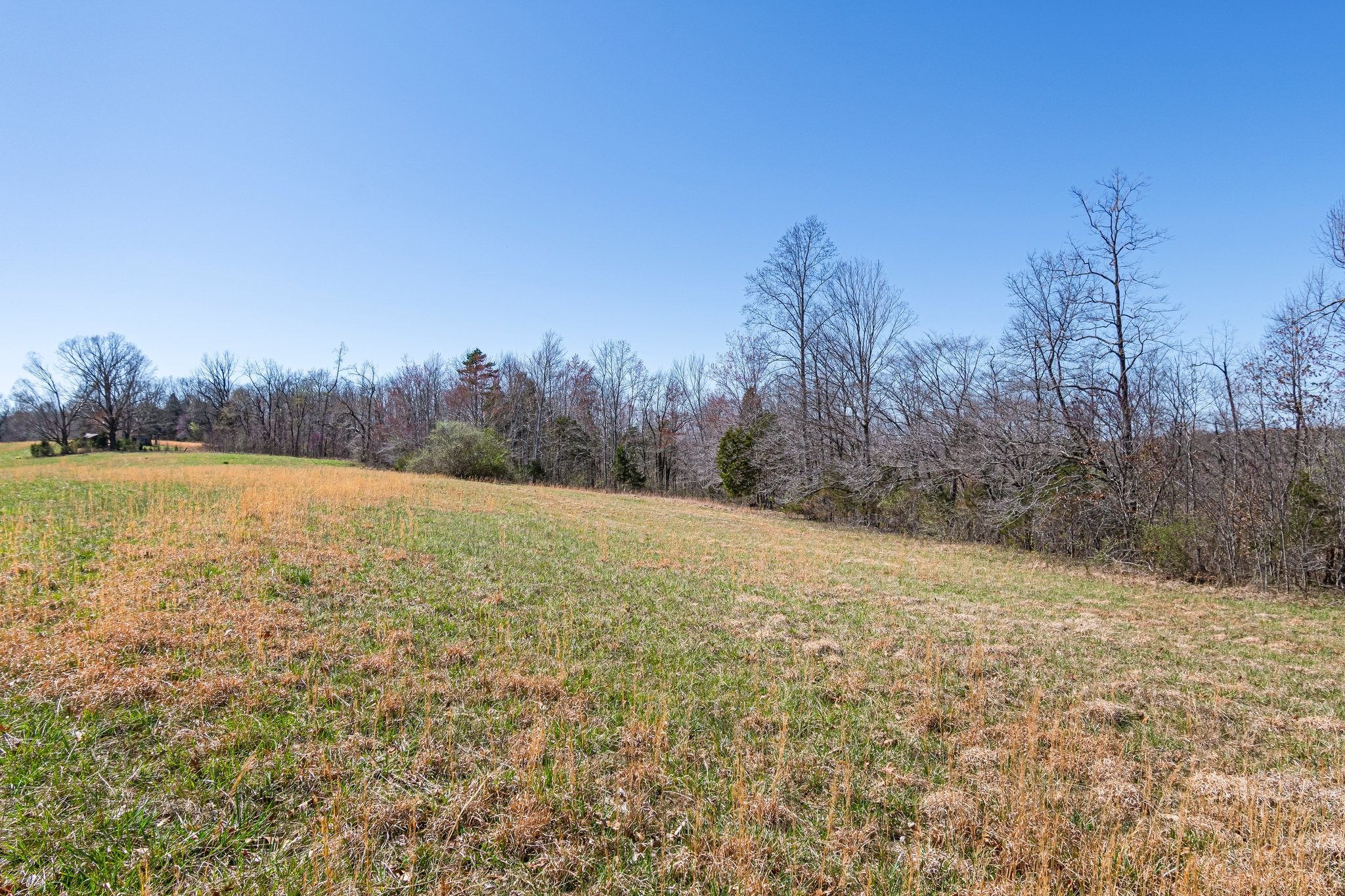 1660 Tidwell Switch Road Dickson, TN 37055 - Photo 14 of 29 Gallery Image 14