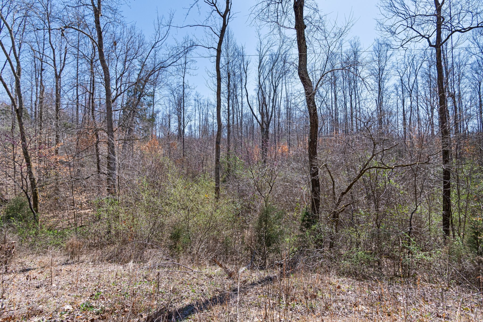 1660 Tidwell Switch Road Dickson, TN 37055 - Photo 18 of 29 Gallery Image 18