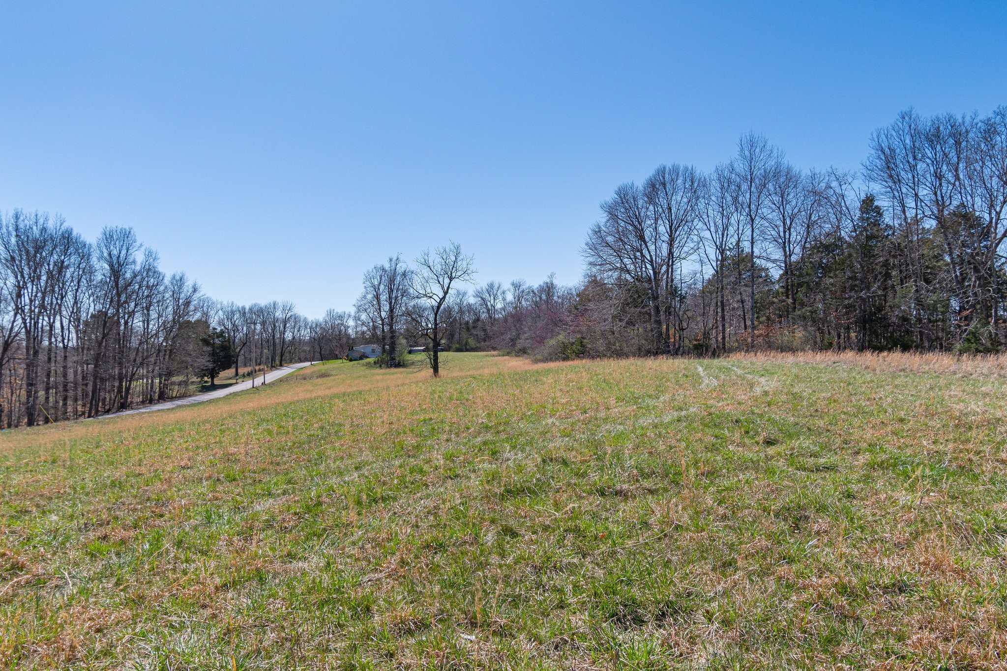 1660 Tidwell Switch Road Dickson, TN 37055 - Photo 2 of 29 Gallery Image 2