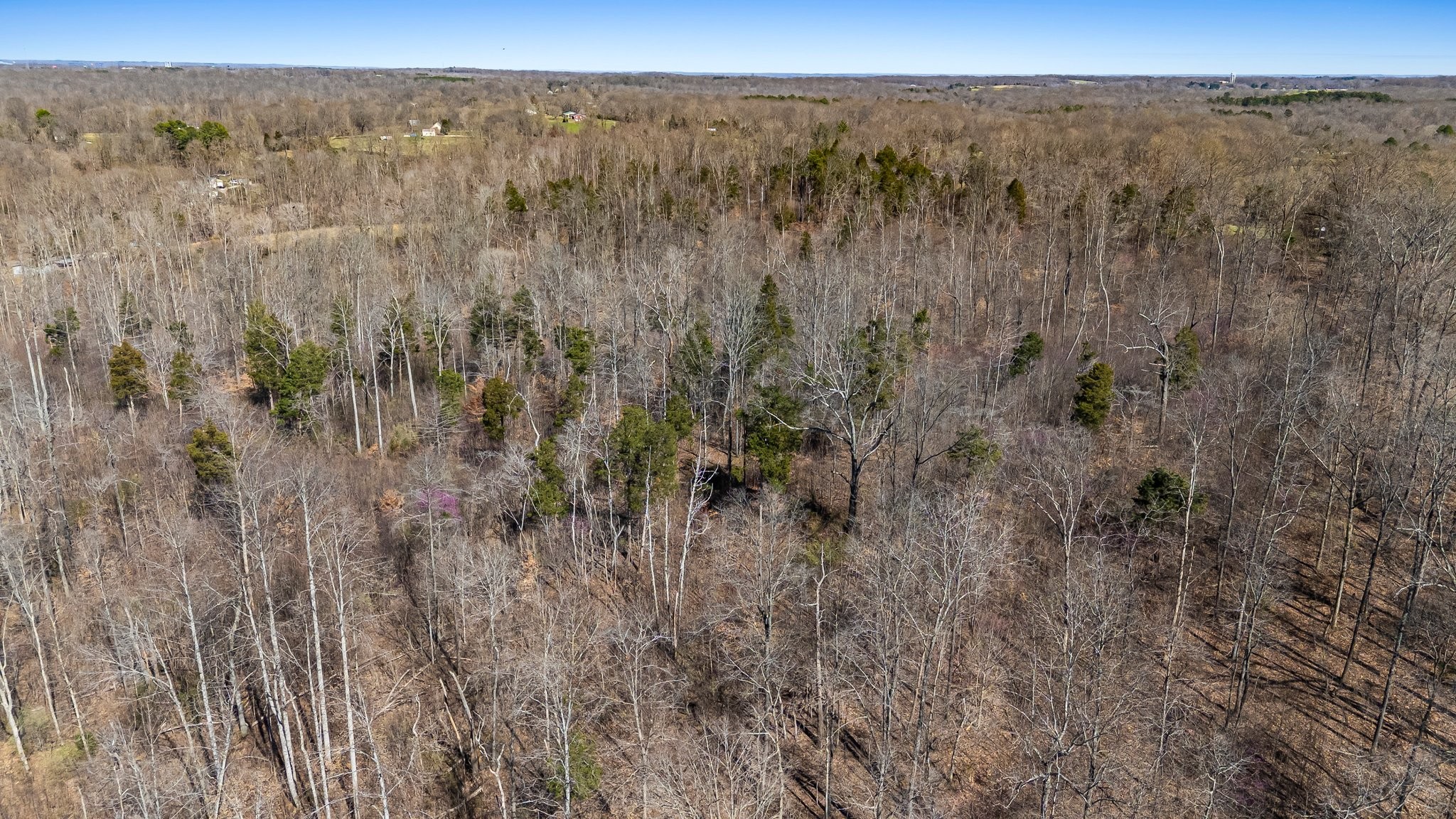 1660 Tidwell Switch Road Dickson, TN 37055 - Photo 25 of 29 Gallery Image 25