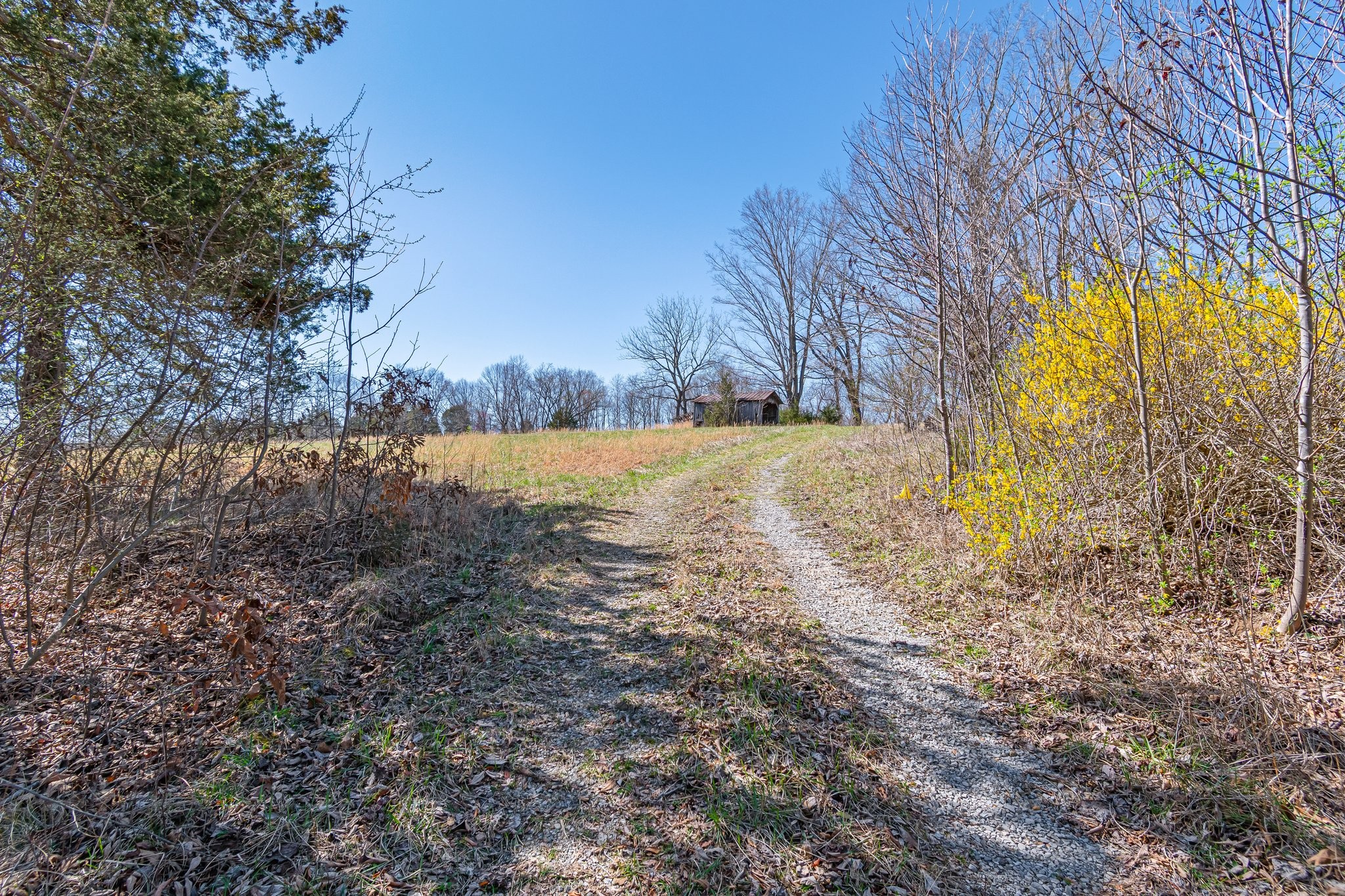 1660 Tidwell Switch Road Dickson, TN 37055 - Photo 6 of 29 Gallery Image 6