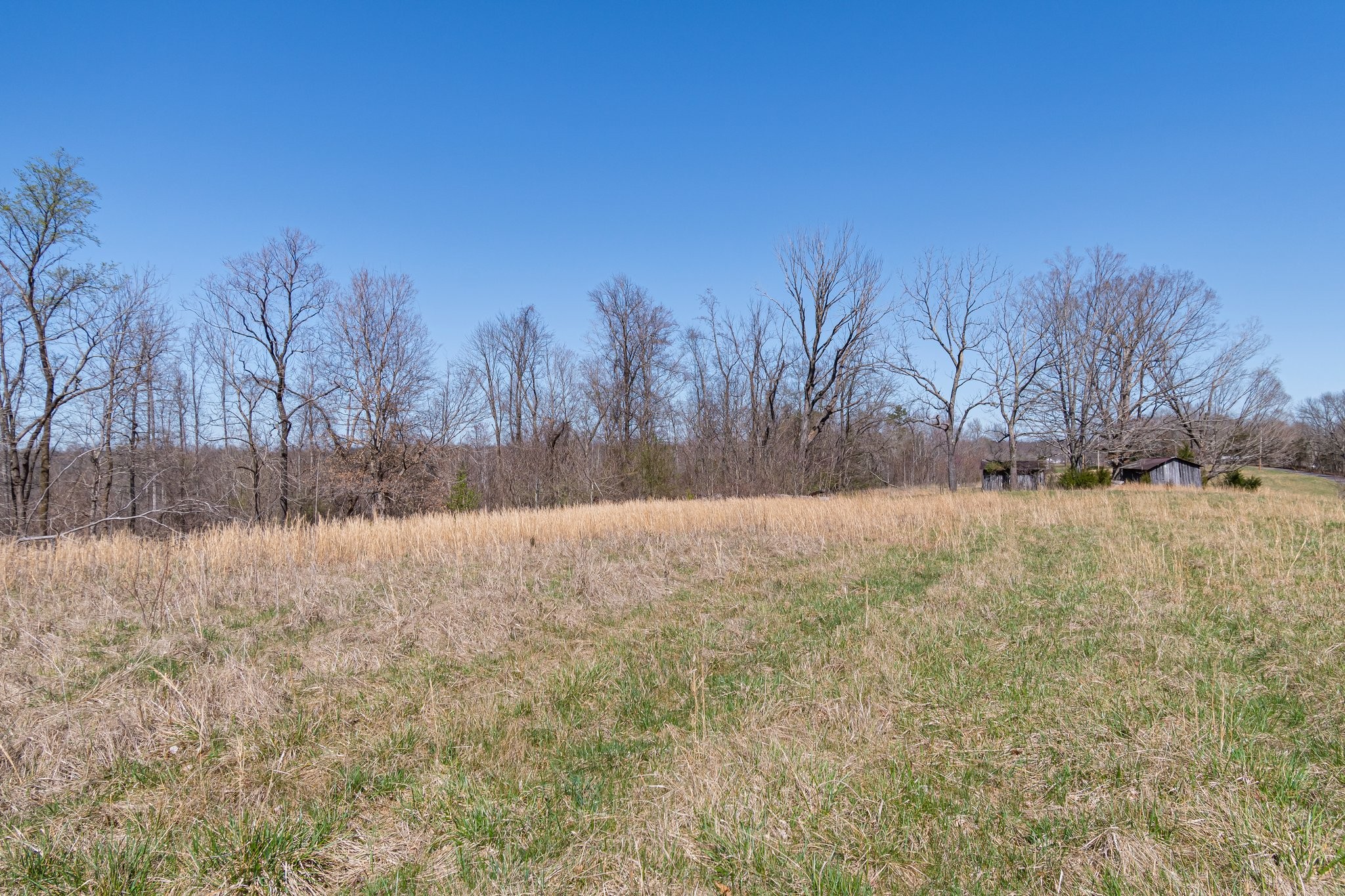 1660 Tidwell Switch Road Dickson, TN 37055 - Photo 7 of 29 Gallery Image 7