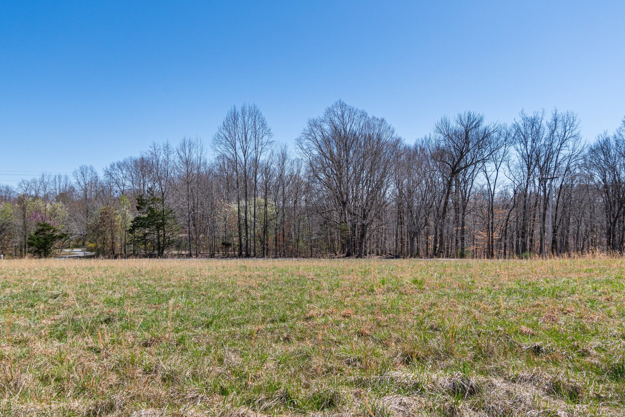 1660 Tidwell Switch Road Dickson, TN 37055 - Photo 9 of 29 Gallery Image 9