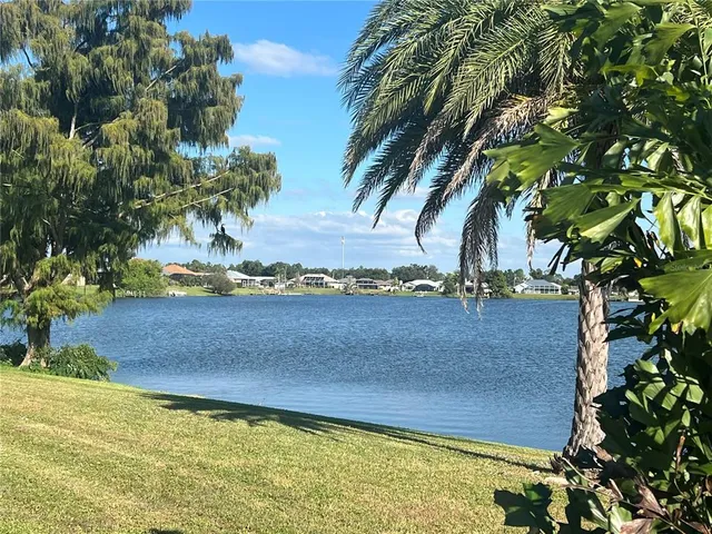 a view of a lake with a large trees