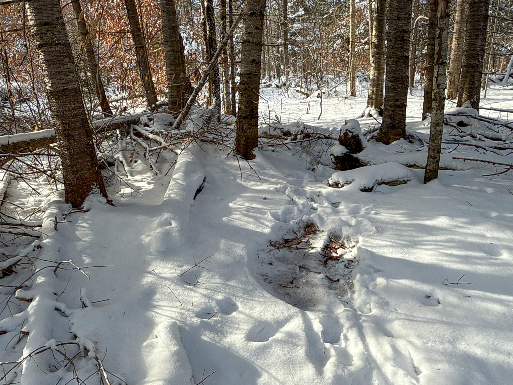 985 Grindstone Road Stacyville, ME 04777 - Photo 32 of 32 32