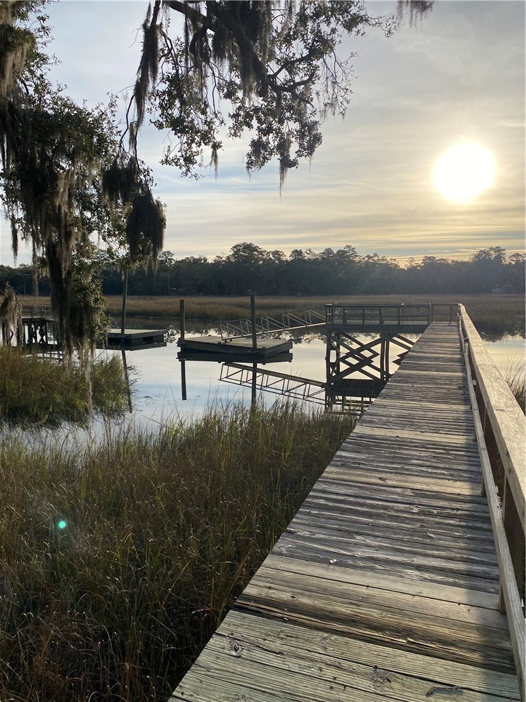138 River Ridge Road Brunswick, GA 31523 - Photo 39 of 46 High tide