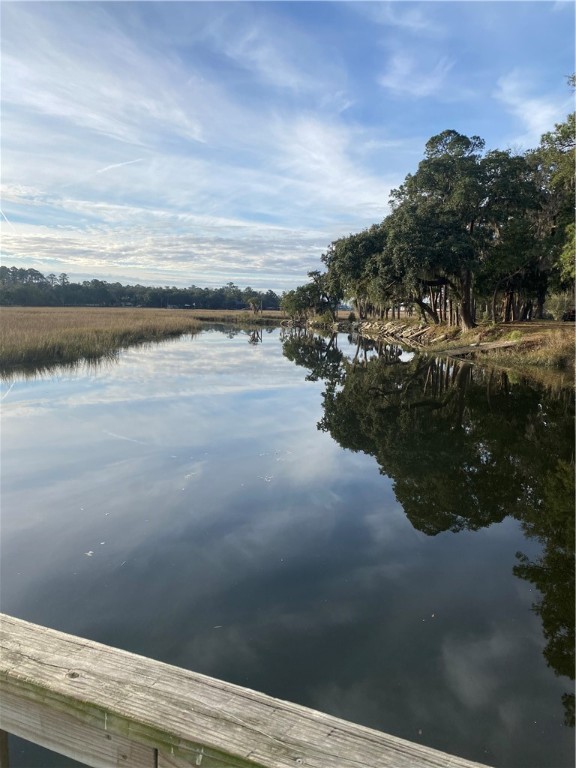 138 River Ridge Road Brunswick, GA 31523 - Photo 41 of 46