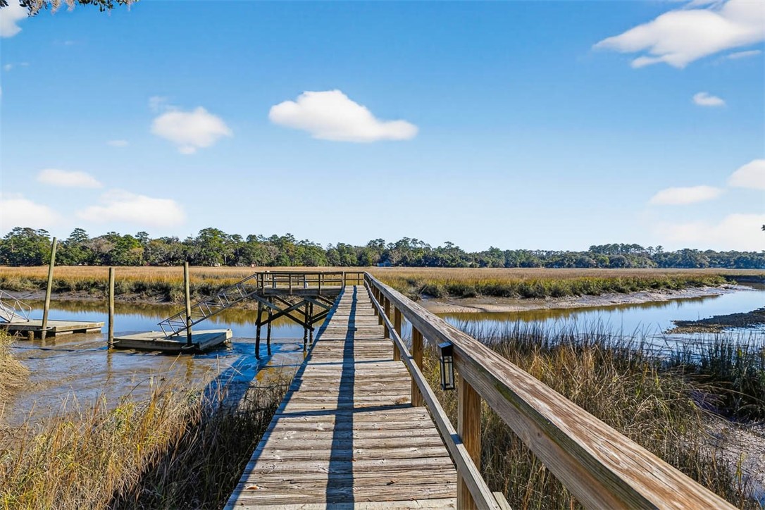 138 River Ridge Road Brunswick, GA 31523 - Photo 42 of 46 Low Tide