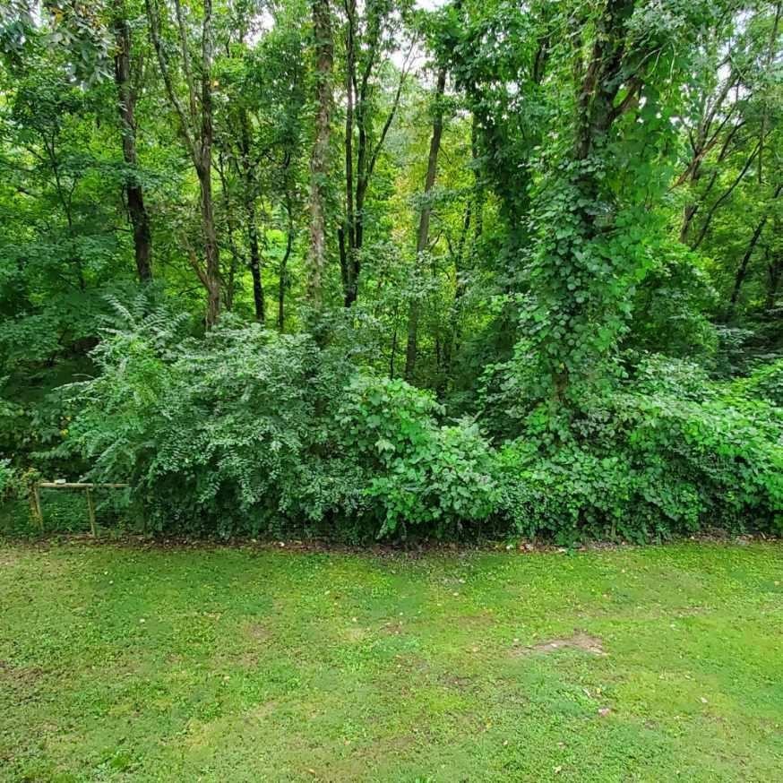 909 Topside Road Sevierville, TN 37862 - Photo 34 of 49 Gallery Image 34