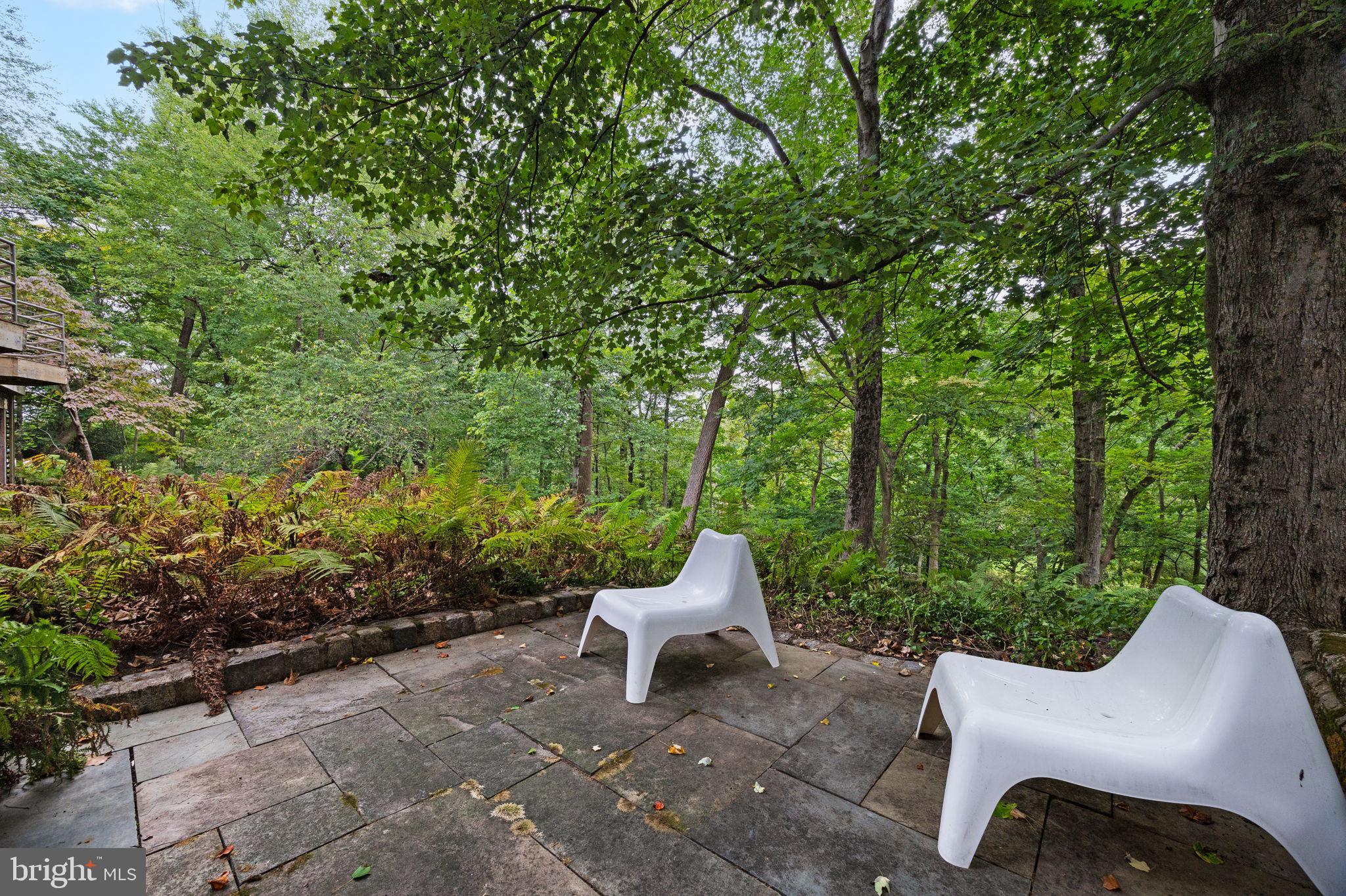 175 Old Gulph Road Wynnewood, PA 19096 - Photo 79 of 87 a white bench sitting in the middle of a forest