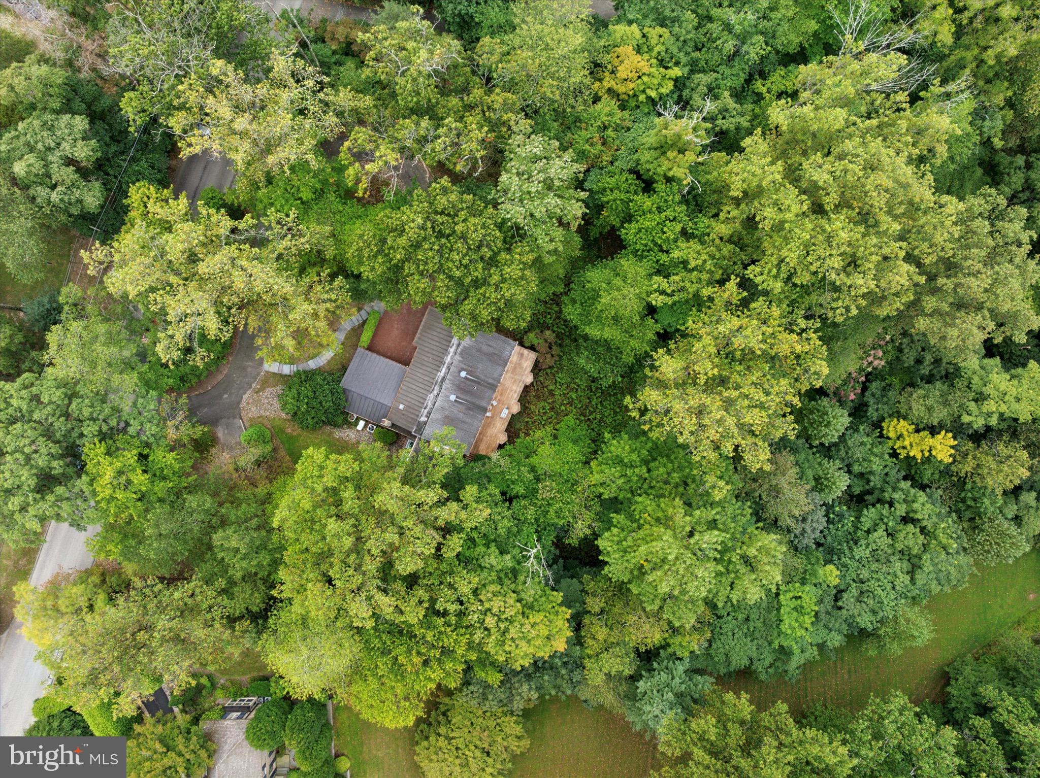 175 Old Gulph Road Wynnewood, PA 19096 - Photo 82 of 87 Backyard 1.58 acres