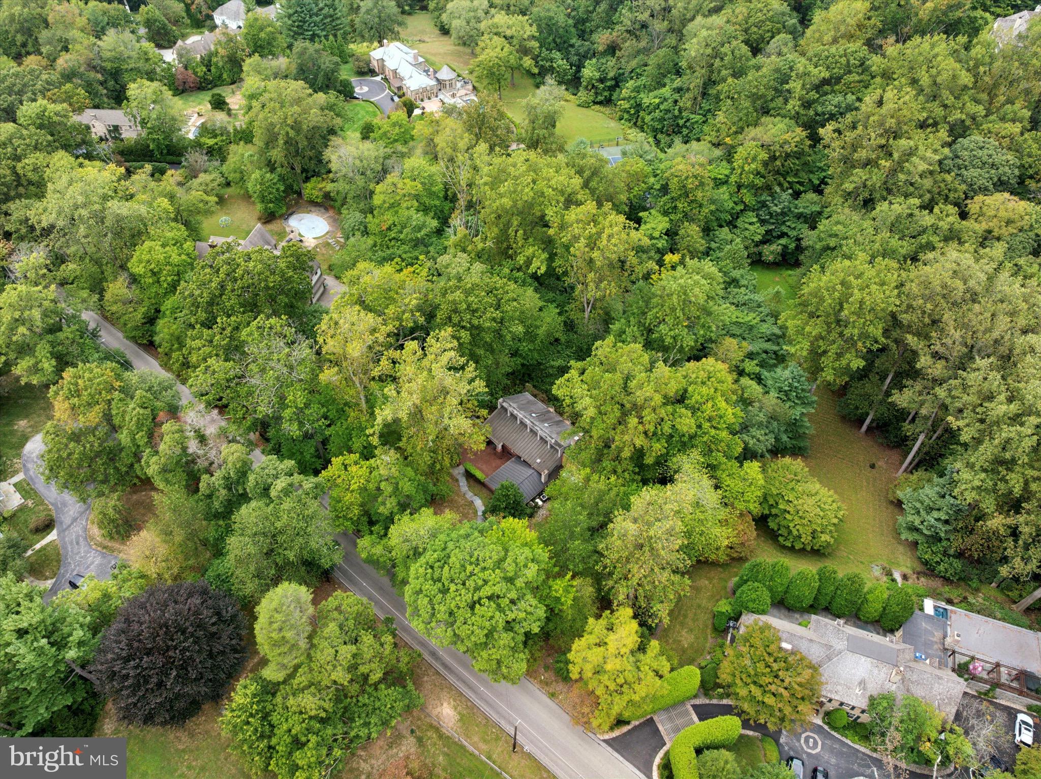 175 Old Gulph Road Wynnewood, PA 19096 - Photo 83 of 87 Backyard 1.58 acres