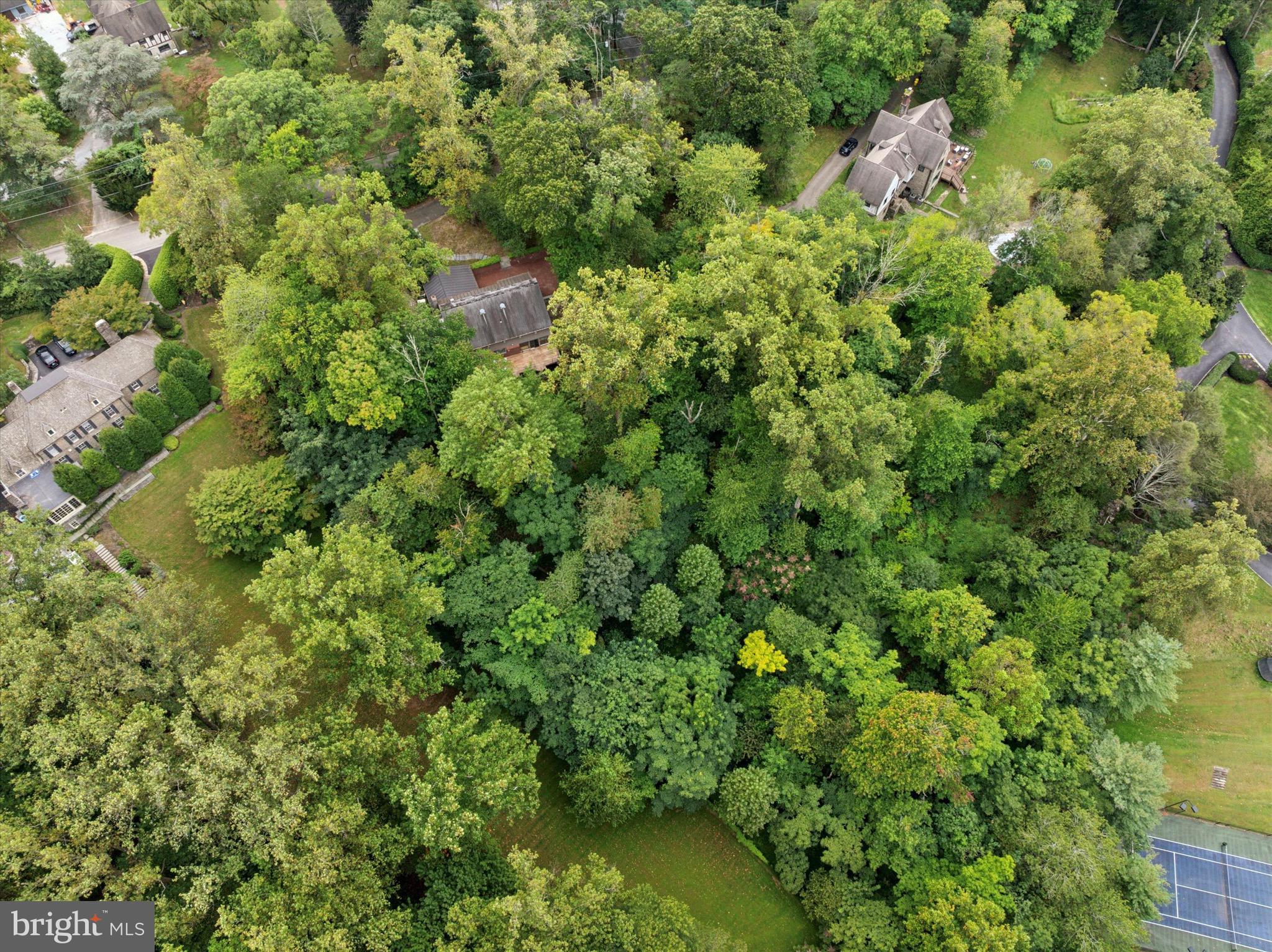 175 Old Gulph Road Wynnewood, PA 19096 - Photo 84 of 87 Backyard 1.58 acres