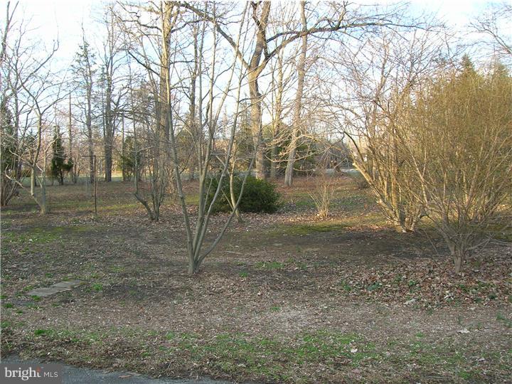 27728 Mt Pleasant Road Jobstown, NJ 08041 - Photo 3 of 20 View