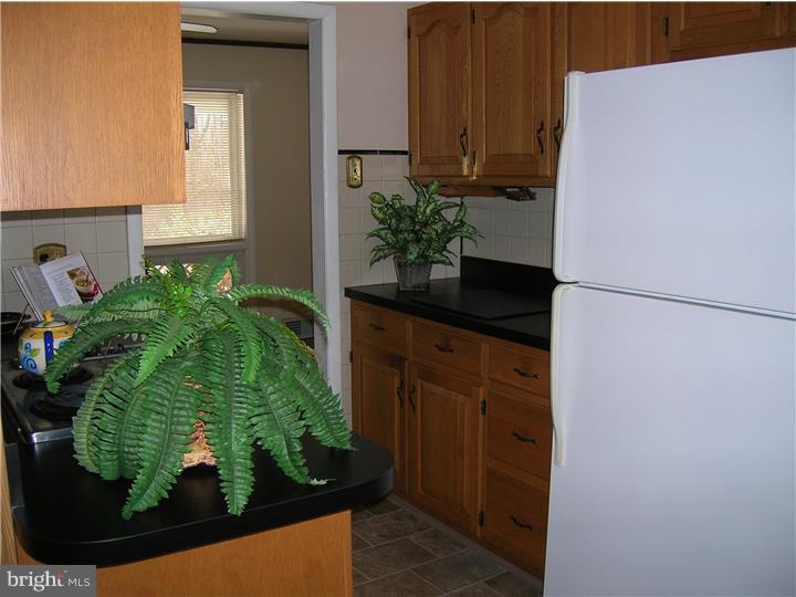 27728 Mt Pleasant Road Jobstown, NJ 08041 - Photo 8 of 20 Kitchen