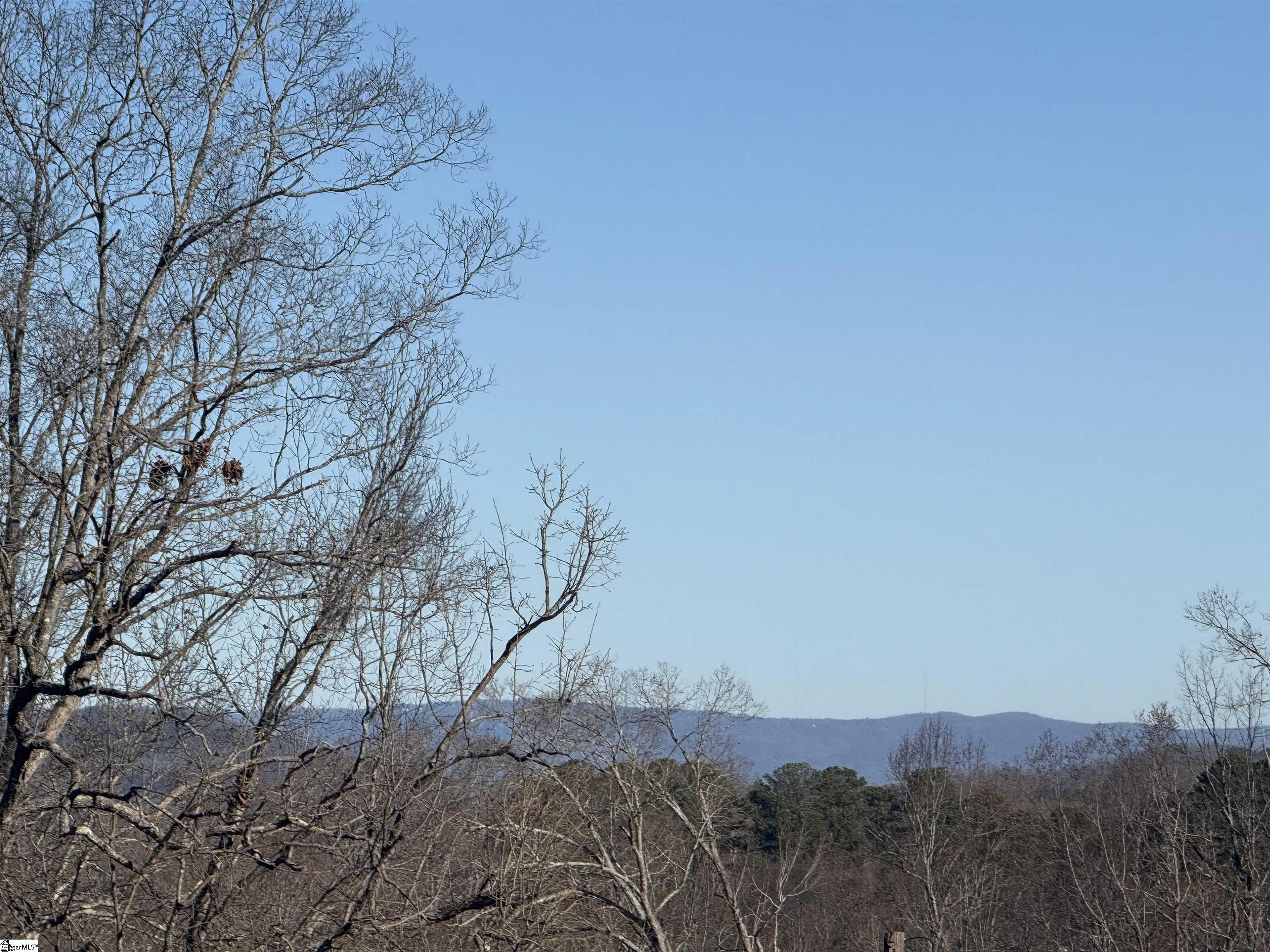 Lot 11 Mulberry Road Easley, SC 29640 - Photo 3 of 8