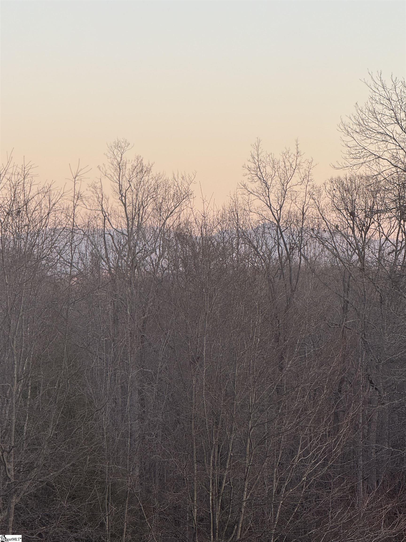 409 Mulberry Road Easley, SC 29640 - Photo 3 of 8