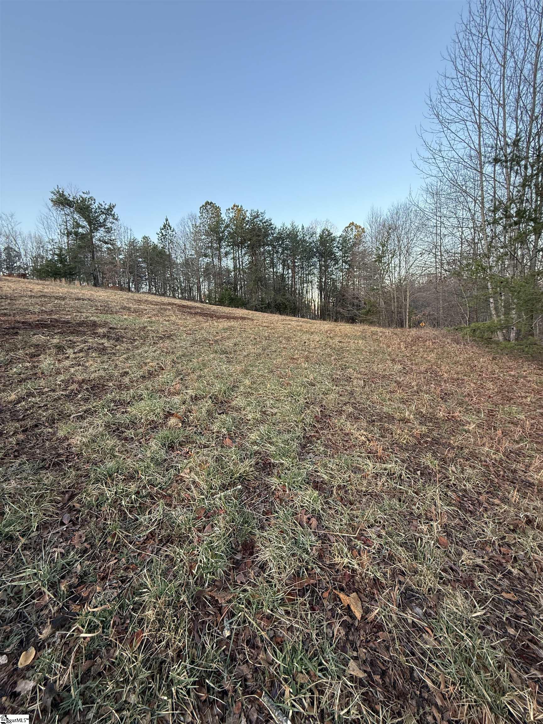 Lot 11 Mulberry Road Easley, SC 29640 - Photo 6 of 8
