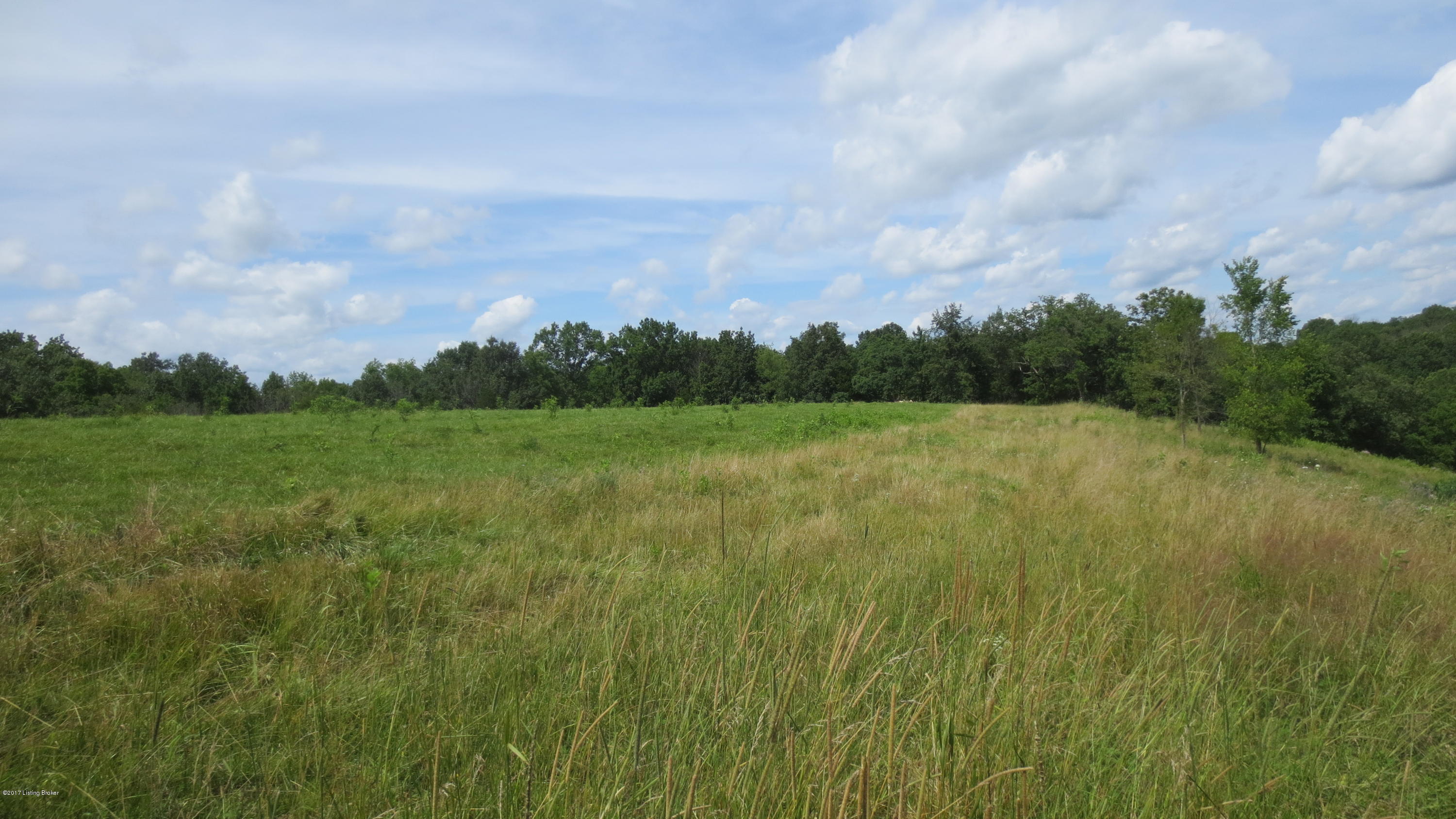 1160 Mt Gilead Road New Castle, KY 40050 - Photo 13 of 24 IMG_0688