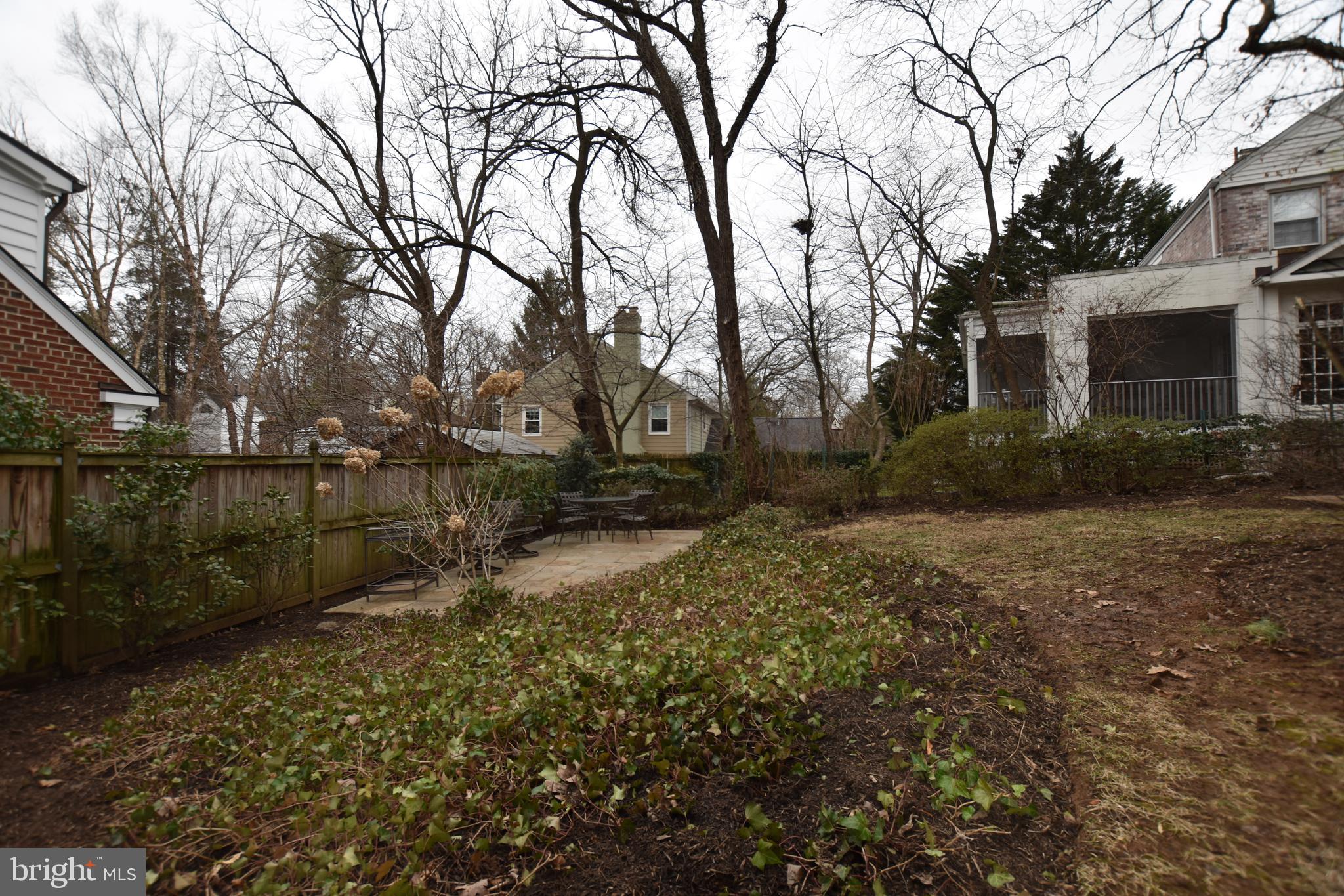 5800 Roosevelt Street Bethesda, MD 20817 - Photo 19 of 20 Backyard