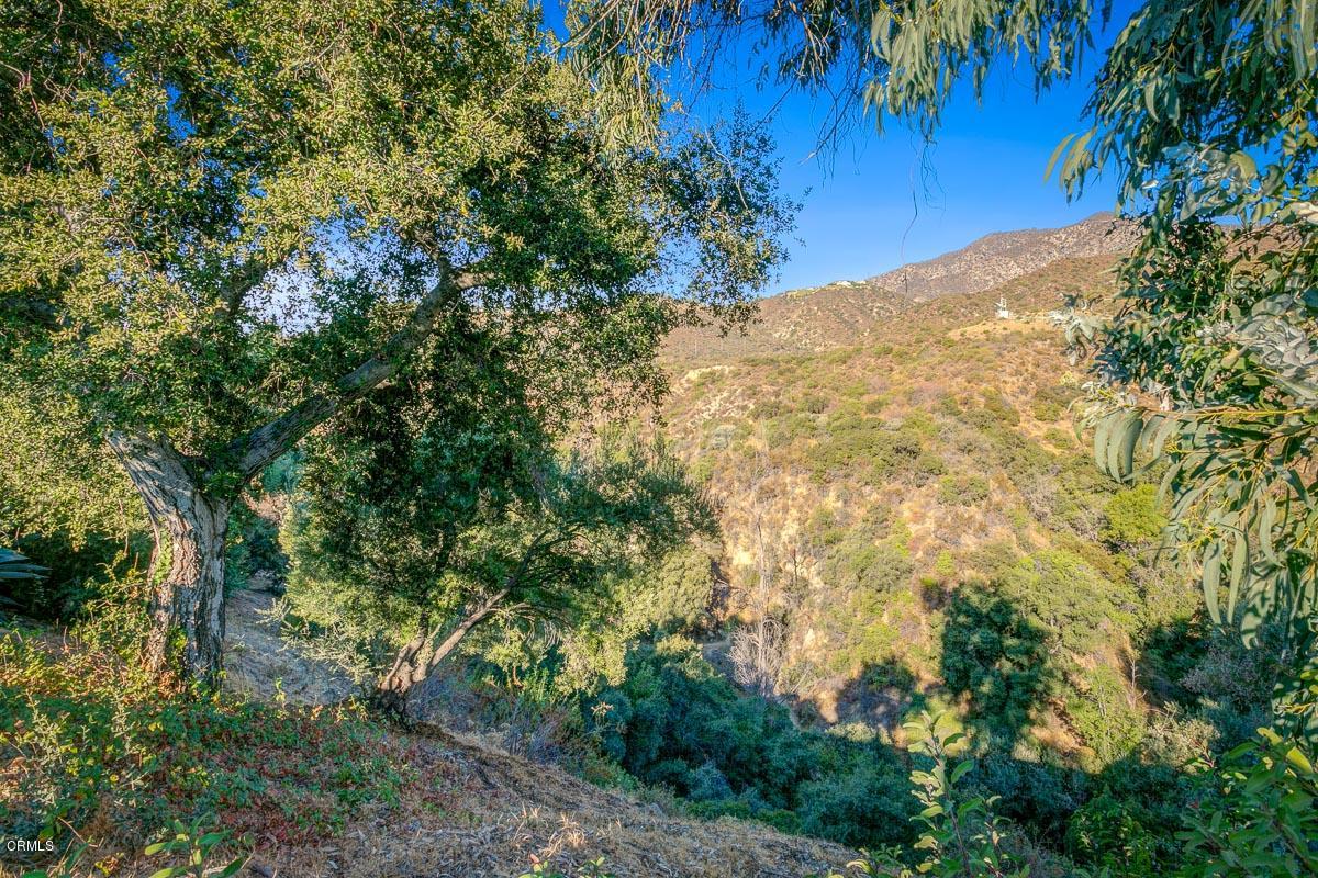 4323 El Prieto Road Altadena, CA 91001 - Photo 7 of 32 4323 El Prieto Rd-MLS-028