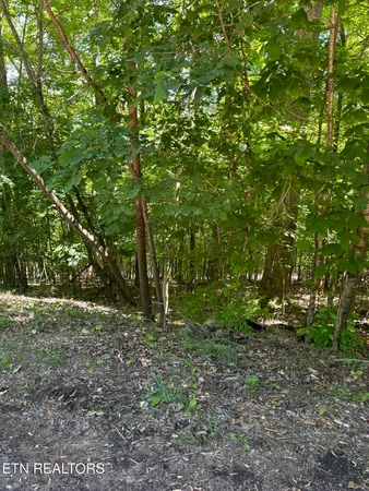 $25,000 | Lot 63 Stoney Rock Lane, Jacksboro, TN 37757