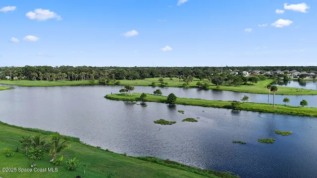 an aerial view of residential houses with outdoor space and trees