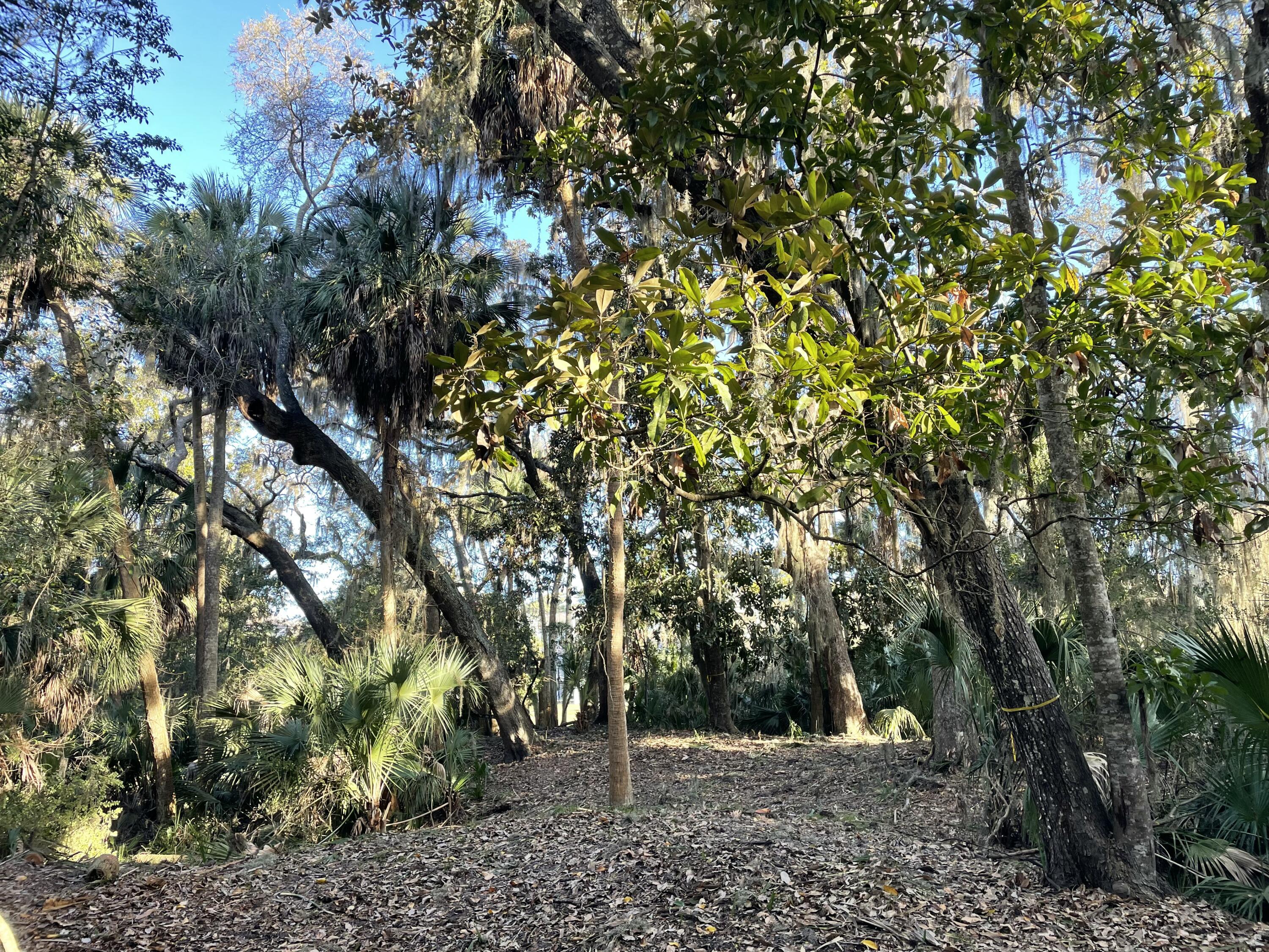 539 Oristo Ridge Edisto Beach, SC 29438 - Photo 2 of 12 IMG_1972