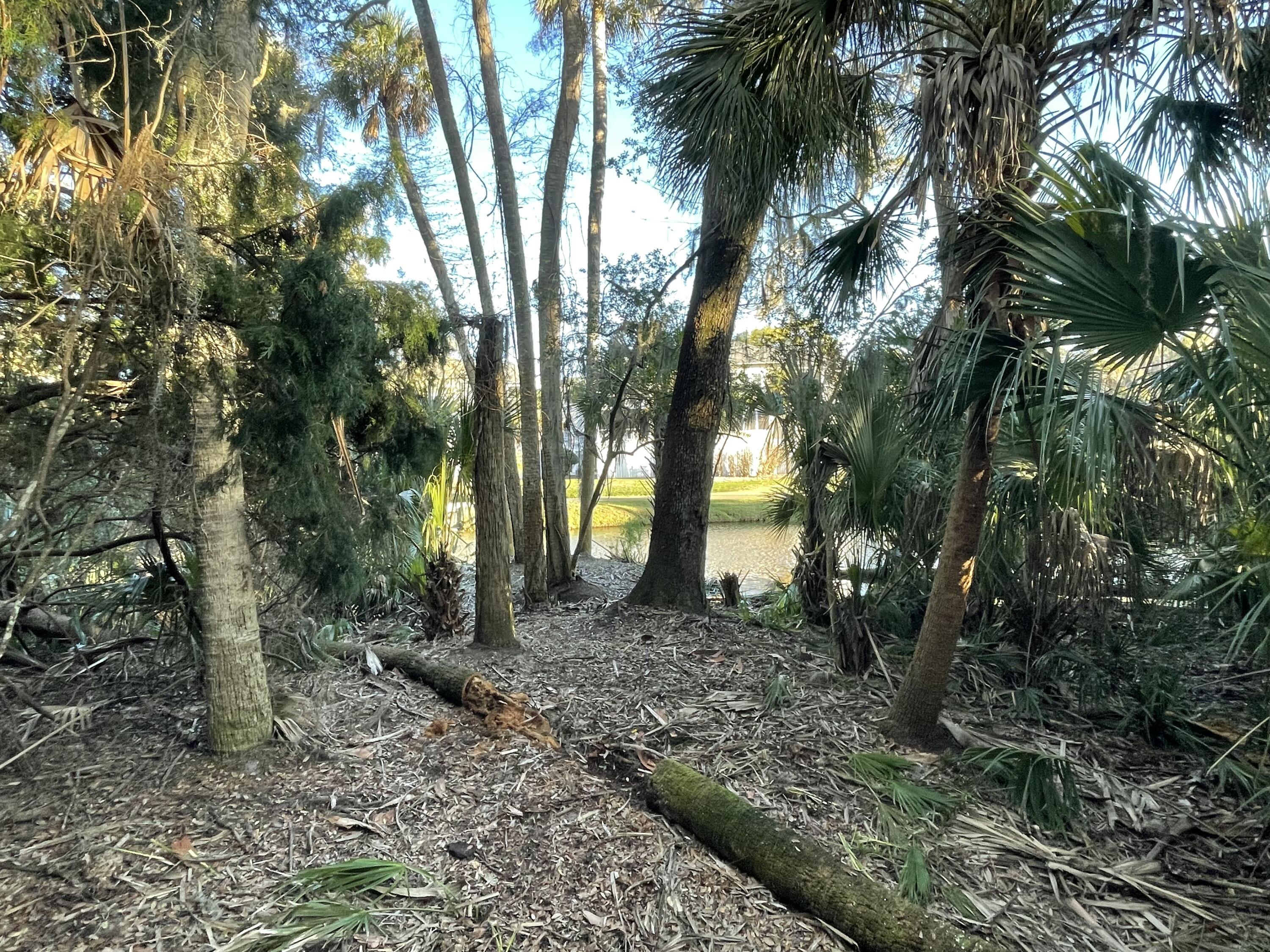 539 Oristo Ridge Edisto Beach, SC 29438 - Photo 4 of 12 IMG_1970
