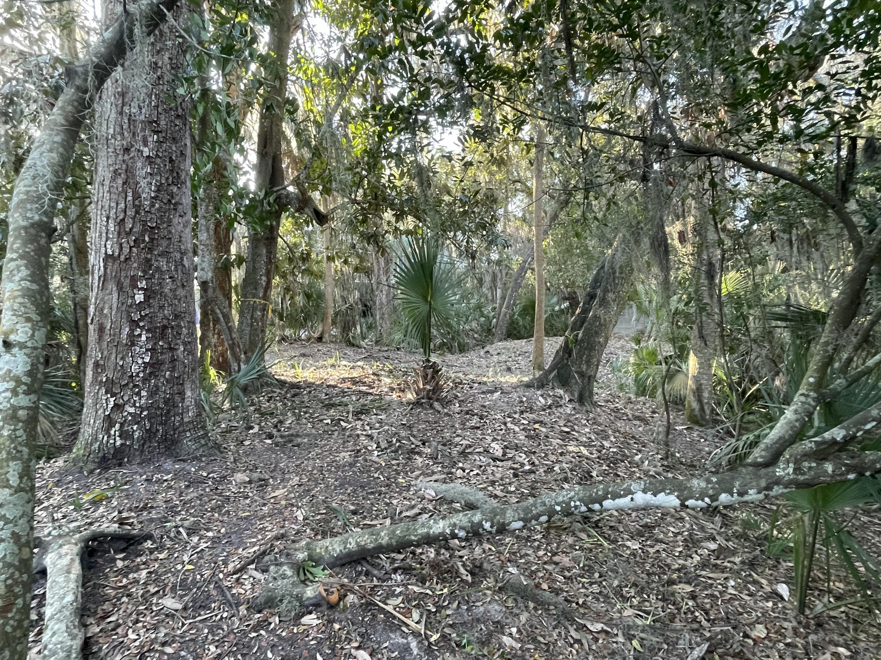 539 Oristo Ridge Edisto Beach, SC 29438 - Photo 5 of 12 IMG_1969
