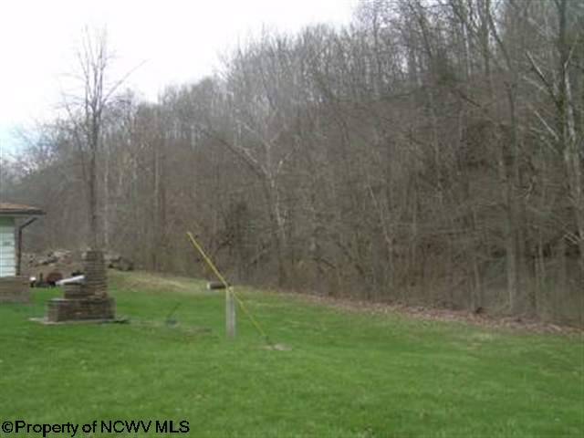 250 Yost Rivesville, WV 26588 - Photo 10 of 12 Gallery Image 10