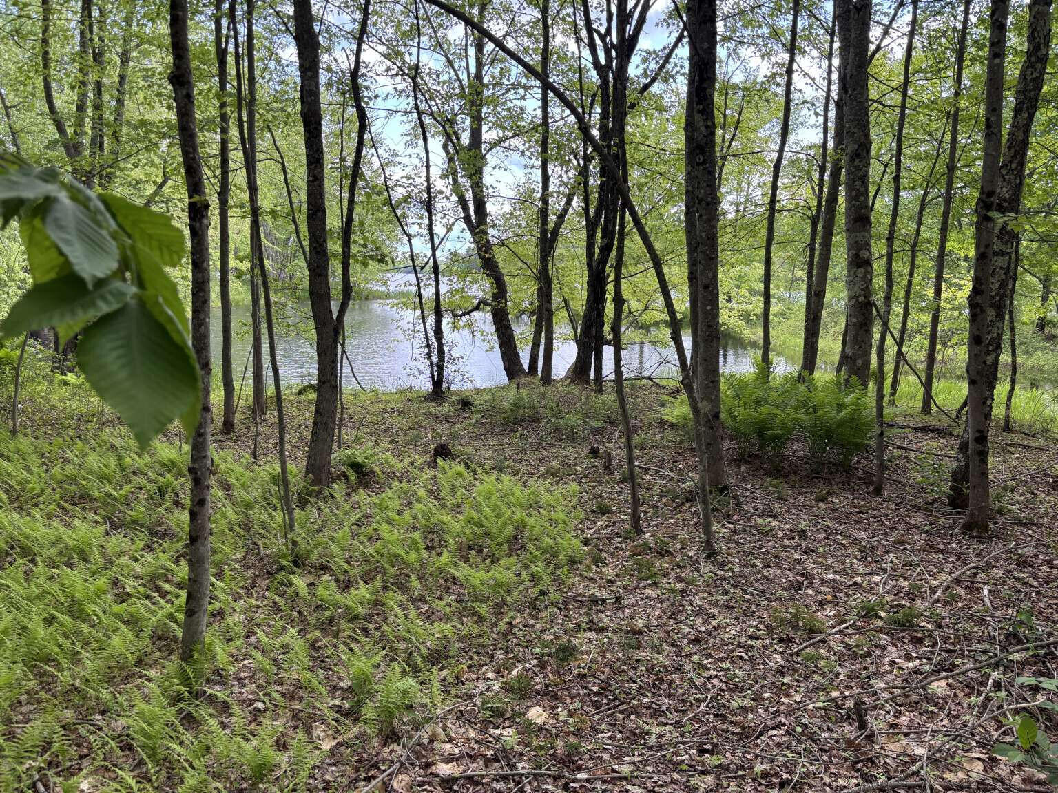 Lot A River Road Leeds, ME 04263 - Photo 4 of 19 Sargent.4