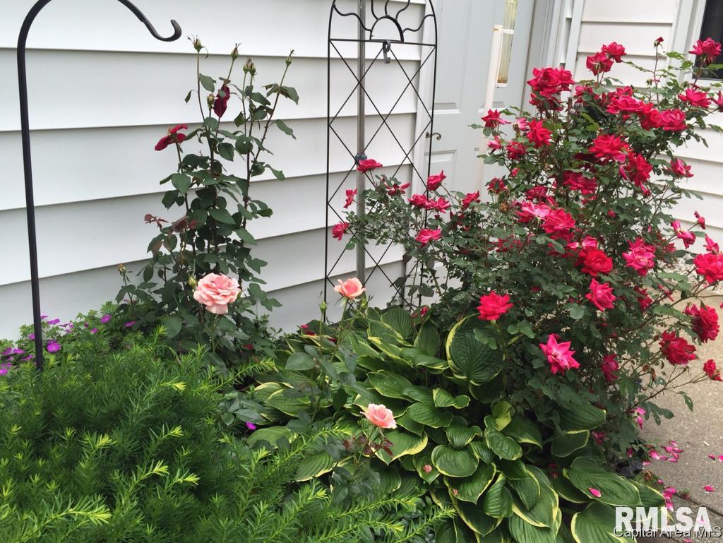 3301 Sheridan Street Springfield, IL 62703 - Photo 14 of 16