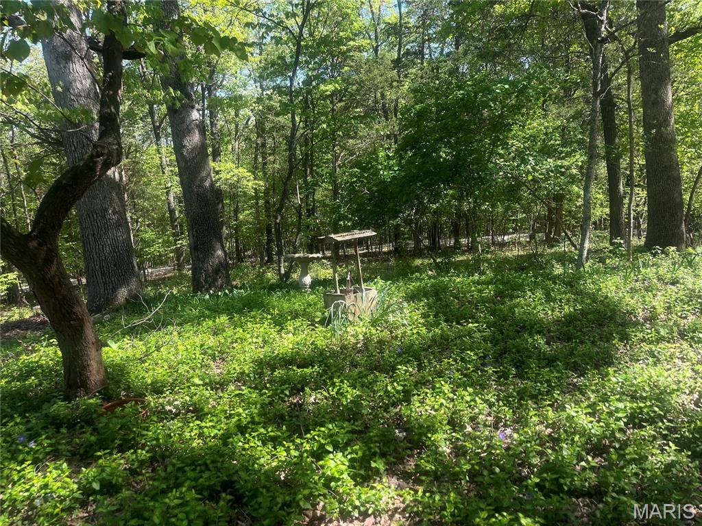2160 Apache Trails Road Pacific, MO 63069 - Photo 44 of 44