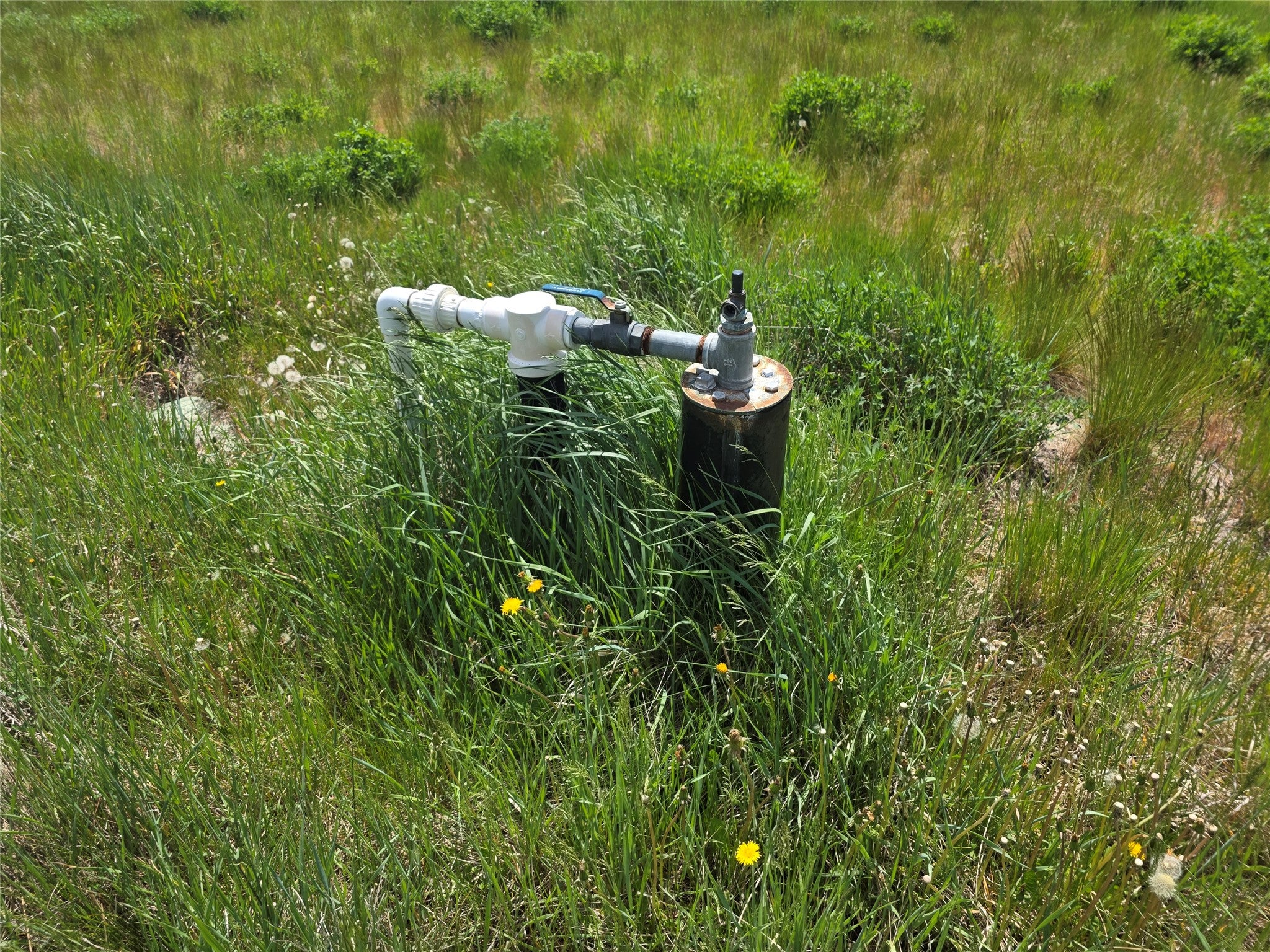 237 8 Mile Creek Road Florence, MT 59833 - Photo 40 of 60 Gallery Image 40